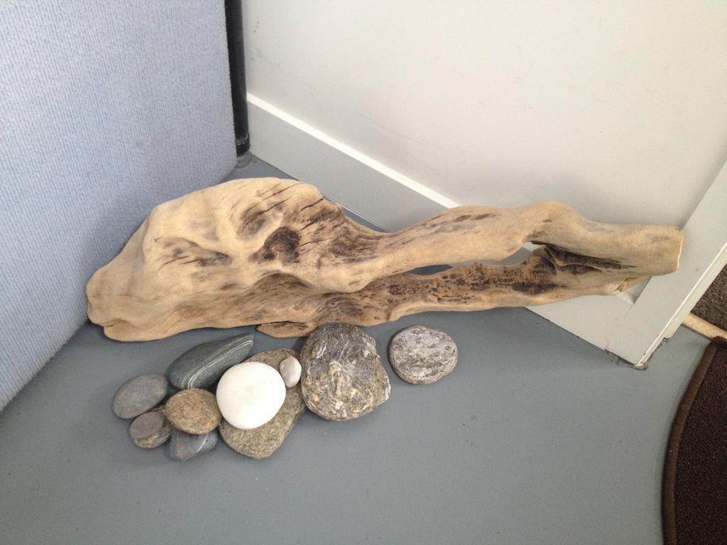 Driftwood Studio Queenstown Room photo